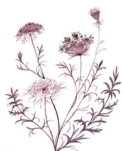 Load image into Gallery viewer, 16” x 20” original watercolor queen anne's lace botanical wildflower painting in an expressive, impressionist, minimalist, modern style by contemporary fine artist Elizabeth Becker. Burgundy, maroon, muted deep purple colors with white background.