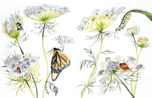 Load image into Gallery viewer, A heartwarming poem and gorgeous watercolor paintings by writer and artist Elizabeth Becker. This “children’s book" for all ages reminds us of our spiritual connection to the natural world around us– with all the magic, wonder and comfort it has to offer. Sheltering Trees is a mindful journey into the forest and into the heart.