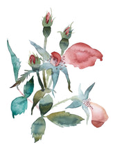 Load image into Gallery viewer, 9" x 12" original watercolor botanical wild rose floral painting in an expressive, abstract, minimalist, modern, loose, watery style by contemporary fine artist Elizabeth Becker. Tranquil, serene, calming, peaceful boho wall art. Muted soft red, pink, peach, olive green and teal colors with white background.