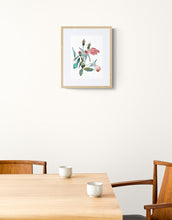 Load image into Gallery viewer, 9" x 12" original watercolor botanical wild rose floral painting in an expressive, abstract, minimalist, modern, loose, watery style by contemporary fine artist Elizabeth Becker. Tranquil, serene, calming, peaceful boho wall art. Muted soft red, pink, peach, olive green and teal colors with white background. Framed.