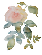 Load image into Gallery viewer, Rose Study No. 80