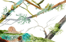 Load image into Gallery viewer, A heartwarming poem and gorgeous watercolor paintings by writer and artist Elizabeth Becker. This “children’s book" for all ages reminds us of our spiritual connection to the natural world around us– with all the magic, wonder and comfort it has to offer. Sheltering Trees is a mindful journey into the forest and into the heart.