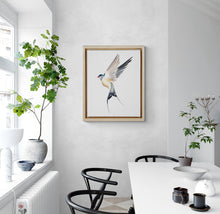 Load image into Gallery viewer, 16” x 20” original watercolor flying swallow bird painting in an expressive, impressionist, minimalist, modern style by contemporary fine artist Elizabeth Becker. Soft peach, ink blue, gray and white colors.