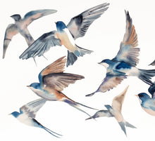 Load image into Gallery viewer, 26” x 40” original watercolor painting of flying barn swallows flock of birds. Large-scale wildlife nature animal illustration in an expressive, minimalist, modern style by contemporary fine artist Elizabeth Becker. Monochromatic neutral soft gray colors.