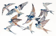 Load image into Gallery viewer, 26” x 40” original watercolor painting of flying barn swallows flock of birds. Large-scale wildlife nature animal illustration in an expressive, minimalist, modern style by contemporary fine artist Elizabeth Becker. Monochromatic neutral soft gray colors.