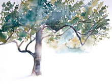 Load image into Gallery viewer, 9" x 12" original watercolor tree painting in an expressive, loose, watery, impressionist, minimalist, modern style by contemporary fine artist Elizabeth Becker. Nature wall art. Monochromatic green earth tones. Prints available.