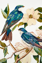 Load image into Gallery viewer, 11” x 14" original hand embroidery on canvas. Two tree swallow birds and botanical dogwood floral tree branches. Inspired by Audubon. Fiber art, in an intricate, meticulous, illustrative, minimalist, modern style by contemporary fine artist Elizabeth Becker. Monochromatic blue, green, teal, turquoise and white colors.