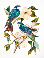 Load image into Gallery viewer, 11” x 14" original hand embroidery on canvas. Two tree swallow birds and botanical dogwood floral tree branches. Inspired by Audubon. Fiber art, in an intricate, meticulous, illustrative, minimalist, modern style by contemporary fine artist Elizabeth Becker. Monochromatic blue, green, teal, turquoise and white colors.