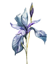 Load image into Gallery viewer, Custom Order for Tulsi - (4) Digital Files