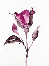 Load image into Gallery viewer, 9” x 12” original watercolor ink botanical hellebore floral painting in an expressive, impressionist, minimalist, modern style by contemporary fine artist Elizabeth Becker. Deep moody monochromatic fuschia pink black and white colors.
