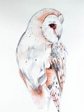 Load image into Gallery viewer, 9” x 12” original watercolor wildlife nature barn owl painting in an ethereal, expressive, impressionist, minimalist, modern style by contemporary fine artist Elizabeth Becker. Soft peach, gray and white colors.