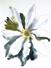Load image into Gallery viewer, 9" x 12" original watercolor botanical bloodroot flower painting in an expressive, impressionist, minimalist, modern style by contemporary fine artist Elizabeth Becker. Soft green gold, black and white colors.