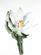 Load image into Gallery viewer, 9" x 12" original watercolor botanical bloodroot flower painting in an expressive, impressionist, minimalist, modern style by contemporary fine artist Elizabeth Becker. Soft green, orang and white colors.