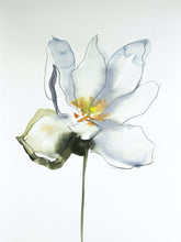 Load image into Gallery viewer, 9" x 12" original watercolor botanical bloodroot flower painting in an expressive, impressionist, minimalist, modern style by contemporary fine artist Elizabeth Becker. Soft muted green, gold, gray and white colors.