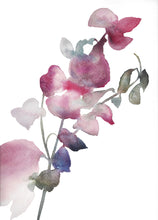 Load image into Gallery viewer, 9" x 12" original watercolor botanical flower painting in an expressive, impressionist, minimalist, modern style by contemporary fine artist Elizabeth Becker. Soft ethereal pink, red, blue, purple, green and white colors.
