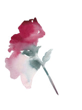 Load image into Gallery viewer, 9" x 12" original watercolor botanical flower painting in an expressive, impressionist, minimalist, modern style by contemporary fine artist Elizabeth Becker. Soft pink, red, green and white colors.