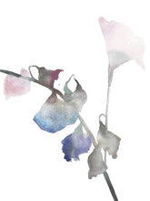 Load image into Gallery viewer, 9" x 12" original watercolor botanical flower painting in an expressive, impressionist, minimalist, modern style by contemporary fine artist Elizabeth Becker. Ethereal, soft, pale pink, blue green, purple and white colors.