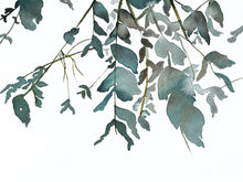 Load image into Gallery viewer, 9” x 12” original watercolor botanical nature painting of tree branches and leaves in an expressive, impressionist, minimalist, modern style by contemporary fine artist Elizabeth Becker. Soft monochromatic blue green and white colors.