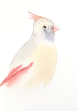 Load image into Gallery viewer, 5” x 7” original watercolor female cardinal painting in an ethereal, expressive, impressionist, minimalist, modern style by contemporary fine artist Elizabeth Becker