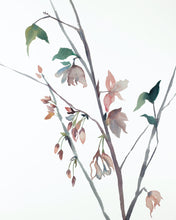 Load image into Gallery viewer, 16” x 20” original watercolor botanical floral painting in an expressive, impressionist, minimalist, modern style by contemporary fine artist Elizabeth Becker