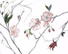 Load image into Gallery viewer, 16” x 20” original watercolor botanical cherry blossom floral painting in an expressive, impressionist, minimalist, modern style by contemporary fine artist Elizabeth Becker