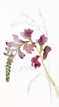 Load image into Gallery viewer, 10” x 18” original watercolor botanical floral painting in an expressive, impressionist, minimalist, modern style by contemporary fine artist Elizabeth Becker