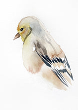 Load image into Gallery viewer, 5” x 7” original watercolor goldfinch painting in an ethereal, expressive, impressionist, minimalist, modern style by contemporary fine artist Elizabeth Becker