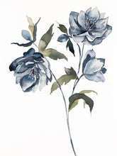 Load image into Gallery viewer, 9” x 12” original watercolor botanical hellebore floral painting in an expressive, impressionist, minimalist, modern style by contemporary fine artist Elizabeth Becker. Soft blue gray, olive green, gold and white colors.