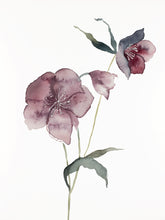 Load image into Gallery viewer, Custom Order for Tulsi - (4) Digital Files
