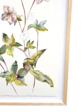 Load image into Gallery viewer, 22" x 33" original framed watercolor botanical hellebore flower painting in an expressive, impressionist, minimalist, modern style by contemporary fine artist Elizabeth Becker