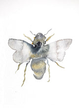 Load image into Gallery viewer, 5” x 7” original watercolor honey bee painting in an ethereal, expressive, impressionist, minimalist, modern style by contemporary fine artist Elizabeth Becker