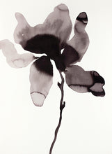 Load image into Gallery viewer, 11" x 15" original ink black and white magnolia botanical flower painting in an expressive, impressionist, minimalist, modern style by contemporary fine artist Elizabeth Becker. Watery monochromatic black and white colors.