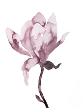 Load image into Gallery viewer, 9” x 12” original botanical floral ink painting in an expressive, impressionist, minimalist, modern style by contemporary fine artist Elizabeth Becker. Soft watery mauve, eggplant, plum purple and white colors.