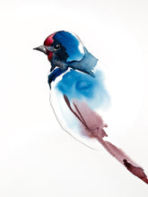 Load image into Gallery viewer, 9” x 12” original watercolor barn swallow wildlife bird painting in an ethereal, expressive, impressionist, minimalist, modern style by contemporary fine artist Elizabeth Becker. Soft watery blue, mauve, red and white colors.