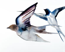Load image into Gallery viewer, 16” x 20” original watercolor pair or couple of flying swallow birds painting in an expressive, impressionist, minimalist, modern style by contemporary fine artist Elizabeth Becker. Soft watery monochromatic ink blue, purple, brown, gray and white colors.