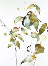 Load image into Gallery viewer, 11” x 15” original watercolor botanical nature painting of leaves and branches in an expressive, impressionist, minimalist, modern style by contemporary fine artist Elizabeth Becker.