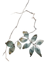 Load image into Gallery viewer, Thaw