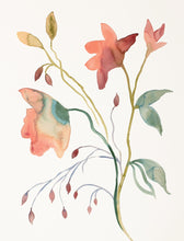 Load image into Gallery viewer, Commission a floral, botanical watercolor painting by contemporary artist Elizabeth Becker in an expressive, impressionist, abstract, minimalist, modern style.
