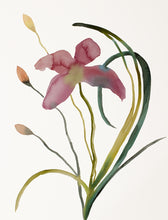 Load image into Gallery viewer, Commission a floral, botanical watercolor painting by contemporary artist Elizabeth Becker in an expressive, impressionist, abstract, minimalist, modern style.
