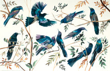 Load image into Gallery viewer, 26” x 40” original watercolor ink painting of grackles / crows / black birds in branches. Large-scale wildlife illustration in an expressive modern style by contemporary fine artist Elizabeth Becker. Moody monochromatic dark blue, black, green, gold and white colors.
