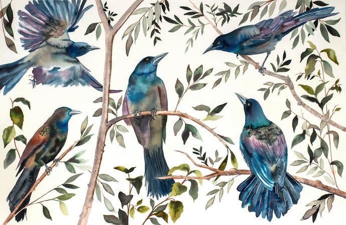 26” x 40” original watercolor ink painting of grackles / crows / black birds in branches. Large-scale wildlife illustration in an expressive modern style by contemporary fine artist Elizabeth Becker. Moody monochromatic dark blue, olive green, purple and white colors.