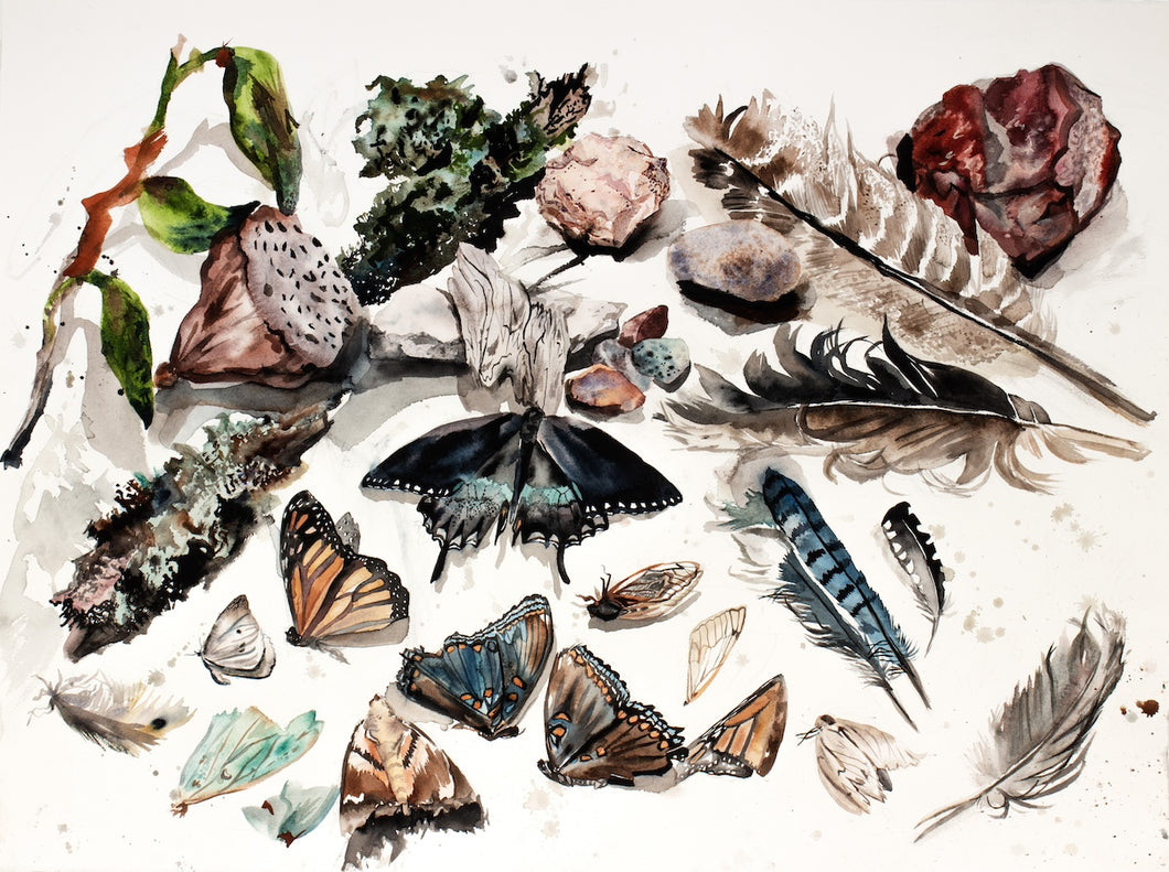 22.5” x 30” original watercolor nature collection painting in a realist, figurative, traditional style by contemporary fine artist Elizabeth Becker. Large-scale trompe l’oeil realism 3D art still life. Woodland forest natural found objects (butterflies, feathers, rocks, bark, branches and lotus pod).