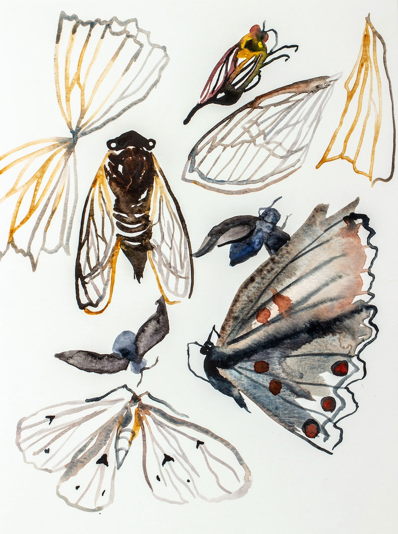 Impressionist Insects ORIGINAL INSECTS & NATURE – Elizabeth Becker Art