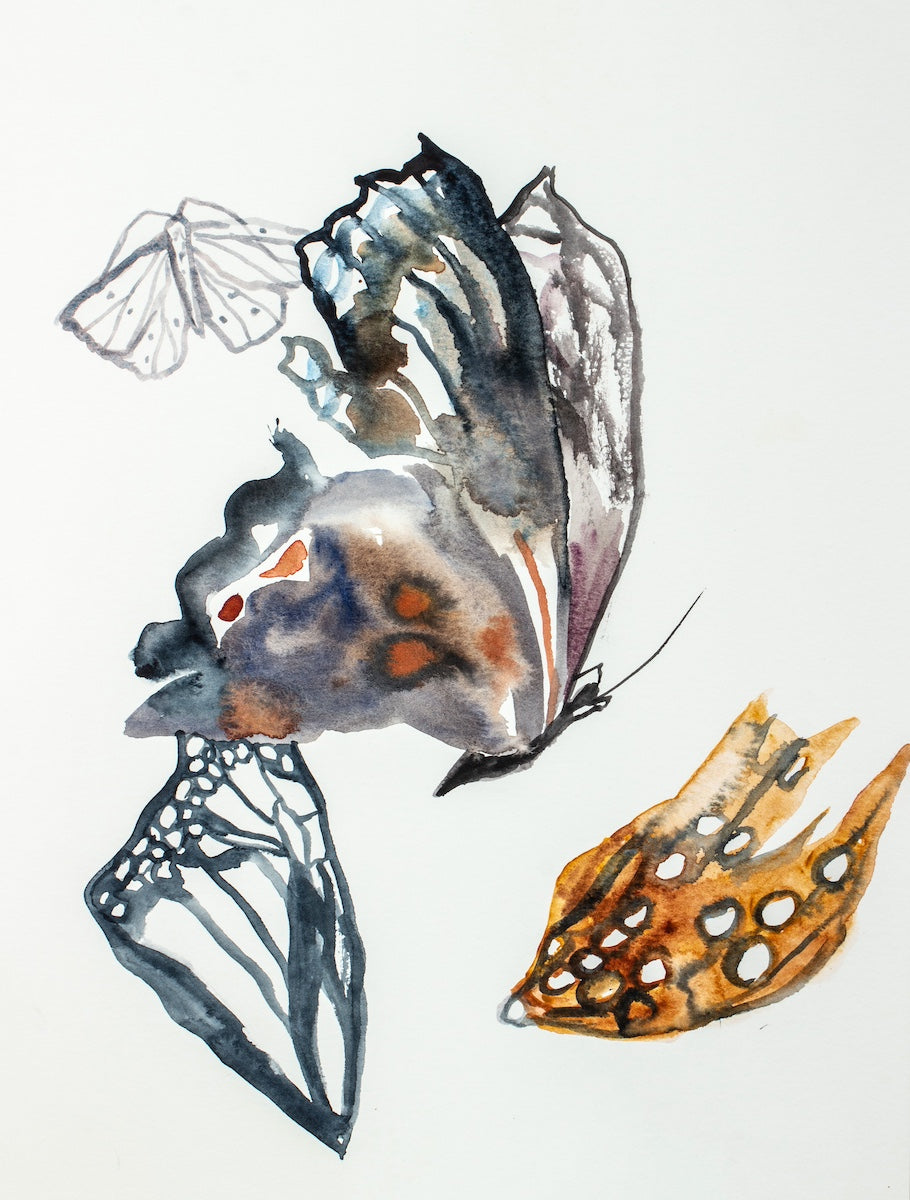 9” x 12” original watercolor nature collection painting in an expressive, impressionist, minimalist, modern style by contemporary fine artist Elizabeth Becker. Illustration of natural found objects (insects, butterflies and butterfly wings).