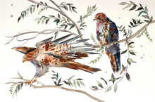 Load image into Gallery viewer, 26” x 40” original watercolor ink painting of red-tailed hawk birds in branches. Large-scale wildlife illustration in an expressive modern style by contemporary fine artist Elizabeth Becker. Monochromatic neutral brown, dark green, black and white colors.
