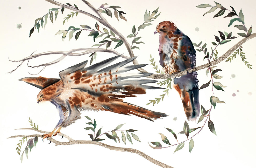 26” x 40” original watercolor ink painting of red-tailed hawk birds in branches. Large-scale wildlife illustration in an expressive modern style by contemporary fine artist Elizabeth Becker. Monochromatic neutral brown, dark green, black and white colors.