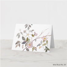 Load image into Gallery viewer, Greeting card featuring print of watercolor painting by contemporary artist Elizabeth Becker. Blank inside for any occasion. Botanical flower, wild rose floral branches and leaves. Soft pink, olive green, gray and white colors.  Loose, expressive, minimalist, modern watercolor art.
