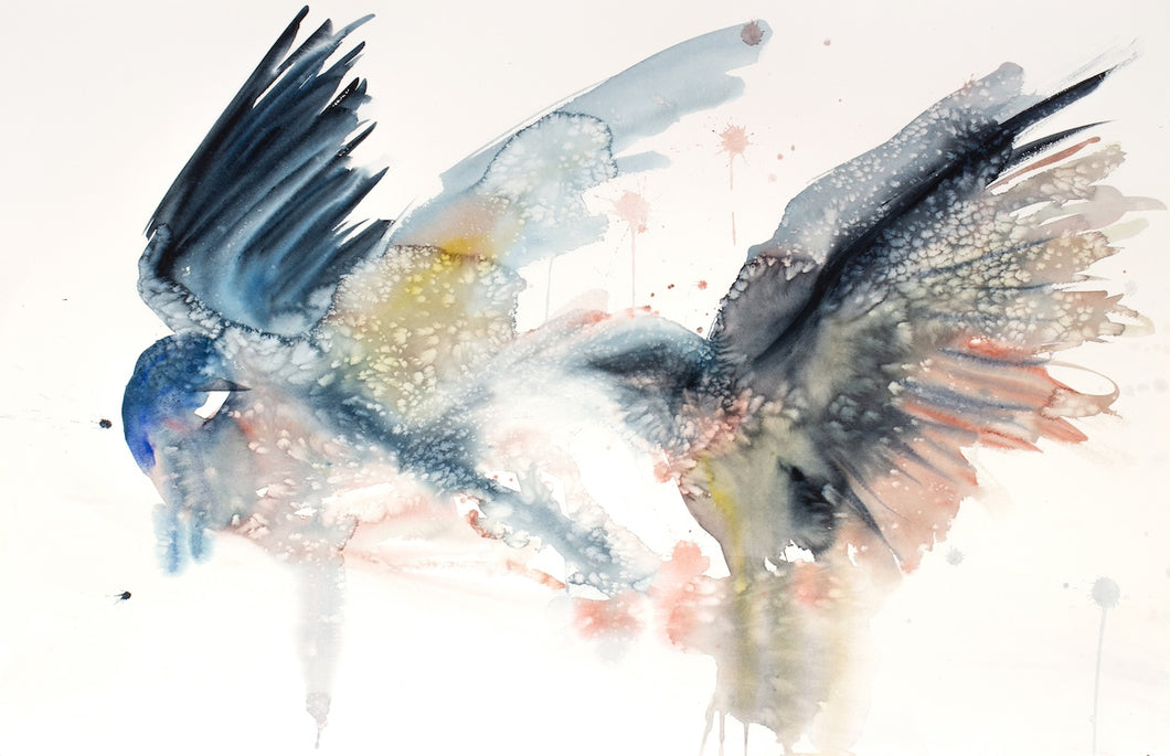 26” x 40” original watercolor painting of barn swallows. Pair of two flying birds with drips and splatters. Large-scale abstract animals in a loose, expressive, minimalist, modern style by contemporary fine artist Elizabeth Becker. 