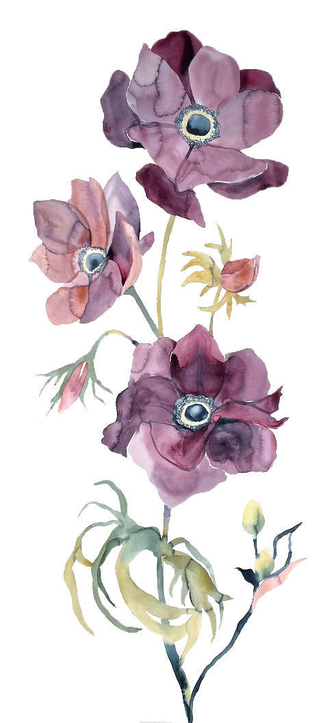 Commission a custom anemone flowers watercolor painting by contemporary artist Elizabeth Becker in an expressive, impressionist, minimalist, modern style.