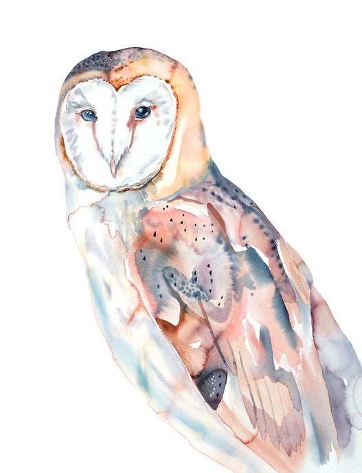 22.5” x 30” original watercolor wildlife nature barn owl painting in an expressive, impressionist, minimalist, modern style by contemporary fine artist Elizabeth Becker. Soft peach, gray and white colors.